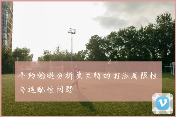 乔约翰逊分析莫兰特的打法局限性与适配性问题
