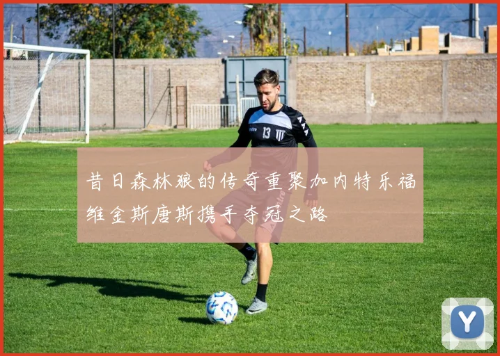 昔日森林狼的传奇重聚加内特乐福维金斯唐斯携手夺冠之路