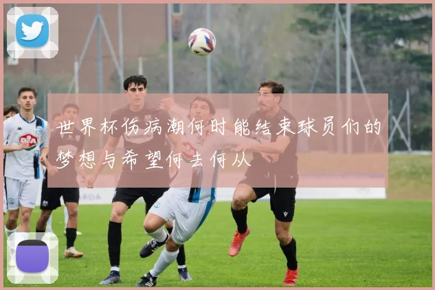 世界杯伤病潮何时能结束球员们的梦想与希望何去何从