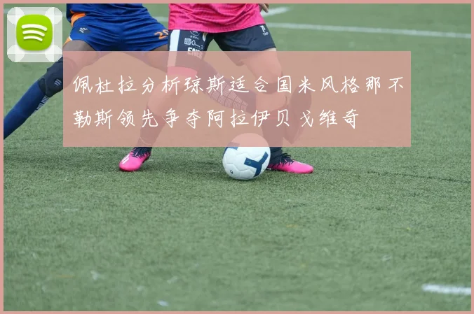 佩杜拉分析琼斯适合国米风格那不勒斯领先争夺阿拉伊贝戈维奇